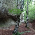 Ztrusxud b
