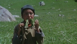 Molom: A Legend of Mongolia 1995 | Boys in movies [BiM]