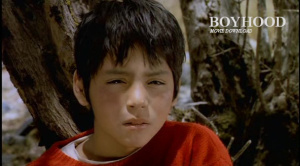 Paper Dove 2003