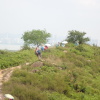 Hiking Tin Shui Wai 2023 July - 頁 2 Oq0aXTcY_t