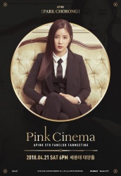 APink - PINK CINEMA Fanmeeting Poster 2018