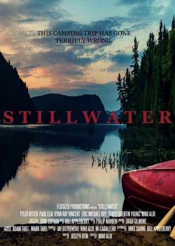Stillwater 2018 1080p WEB DL DD5 1 H264 FGT