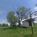 Hzarpga7 b