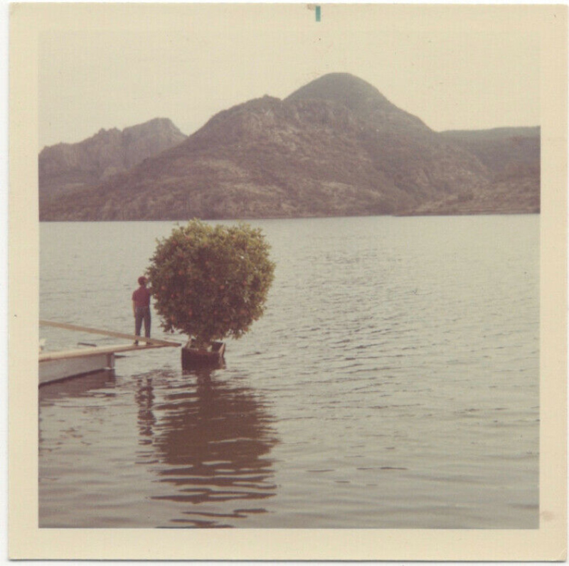 image host