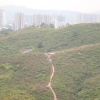 Hiking Tin Shui Wai 2023 July - 頁 3 QCoidZBY_t
