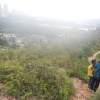 Hiking Tin Shui Wai - 頁 24 AXUjhH7j_t