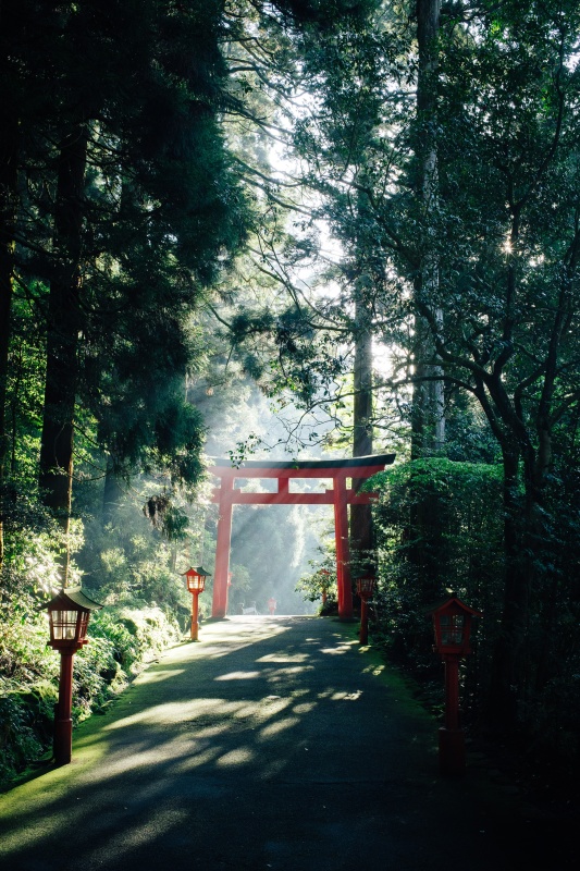 First Japan Travel Guide: Things I Wish I'D Known Before Going to Japan (2023)'s image