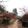 Hiking Tin Shui Wai 2024 - 頁 2 PmqRZV2F_t