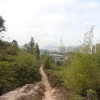 Hiking Tin Shui Wai 2024 - 頁 2 I4BlG5Ry_t
