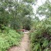 Hiking Tin Shui Wai 2023 July - 頁 2 C4qUh8Ti_t