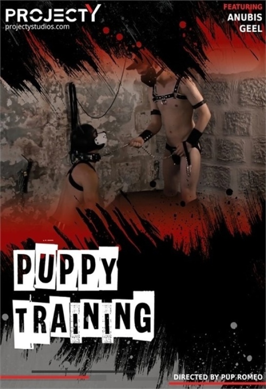 Pup Anubis, Pup Geel - Puppy Training - 1080p