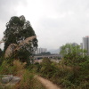 Hiking Tin Shui Wai 2024 - 頁 2 H9o1bqES_t