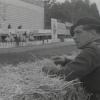 1937 European Championship Grands Prix - Page 7 ZVpR2Vvq_t