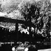 Targa Florio (Part 3) 1950 - 1959  - Page 5 SNAa2TIP_t