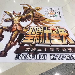 Pièce commémorative 30ème anniversaire - Exposition du 19/07 au 7/10/2018 à Chaoyang E6RXy8Zc_t