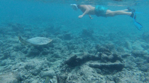 EXPERIENCIA EN LA ISLA - Maldivas 2022. Maafushivaru (89)