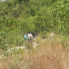 Hiking Tin Shui Wai - 頁 29 WYIB7p8n_t