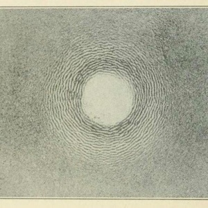 image host