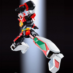 "Soul of Chogokin" by Bandai - Page 65 AeykRQgR_t