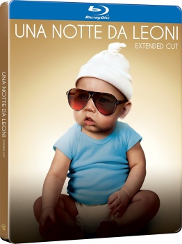 Una notte da leoni (2009) .mkv FullHD 1080p HEVC x265 AC3 ITA-ENG