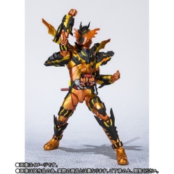 Kamen Rider - S.H. Figuarts (Bandai) - Page 35 FGz4xCaA_t