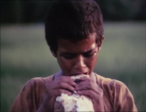 Bashu, the Little Stranger 1989