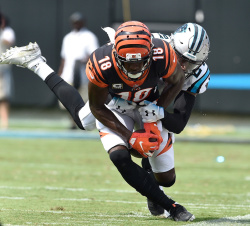 A.J. Green - Cincinnati Bengals vs Carolina Panthers  at Bank of America Stadium on September 23, 2018 in Charlotte, North Carolina