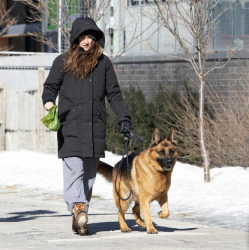 Shailene Woodley - Spotted walking her dog in Montreal, March 4, 2021