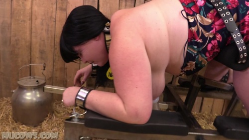 HuCows 25 01 25 Samantha Kiss New Bbw Hucow XXX 1080p MP4-FETiSH