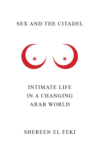 Sex and the Citadel   Intimate Life in a Changing Arab World