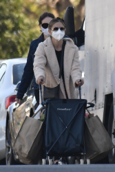 Sarah Michelle Gellar - Pushing a grocery wagon after shopping at the farmers market in Brentwood, January 25, 2021
