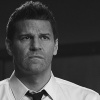 David Boreanaz 9kfGK5TS_t