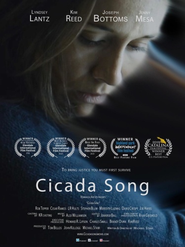 Cicada Song 2019 HDRip XviD AC3-EVO
