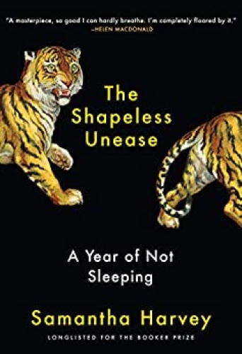 The Shapeless Unease   A Year of Not Sleeping