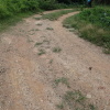 Hiking Tin Shui Wai 2023 July - 頁 2 RuhZFjLe_t