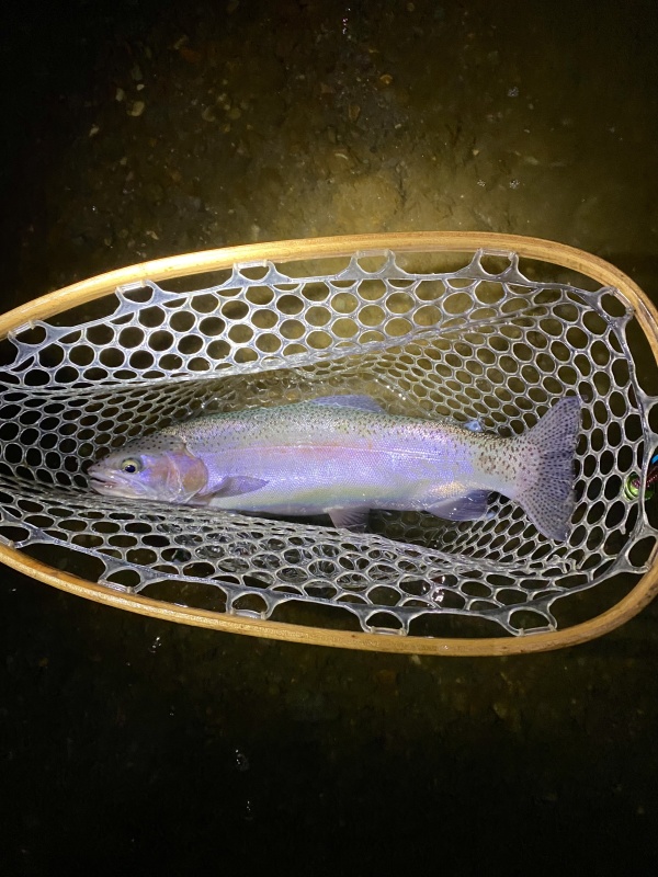 NIGHT FISHING ON THE FLY! WHOS DOING IT? WHERE/WHAT SPECIES?  The North  American Fly Fishing Forum - sponsored by Thomas Turner
