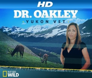 Dr Oakley Yukon Vet S07E08 Running with Reindeer WEBRip x264-CAFFEiNE