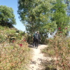 Hiking Tin Shui Wai 2023 July - 頁 2 OPE1Qlxf_t