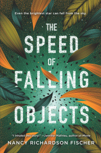 The Speed of Falling Objects