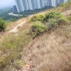 Hiking Tin Shui Wai 2023 July - 頁 3 ZaVxTr5i_t