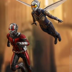 Ant-Man (Ant-Man & The Wasp) 1/6 (Hot Toys) 78sadYFb_t
