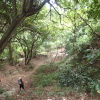Hiking Tin Shui Wai 2023 July - 頁 2 YSp6q4j8_t