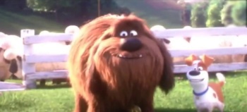 The Secret Life of Pets 2 (2019) 720p - HDCAMRip - AVC - AAC-IcTv Exclusive The Secret Life of Pets 2 (2019) 720p - HDCAMRip - AVC - AAC-IcTv Exclusive