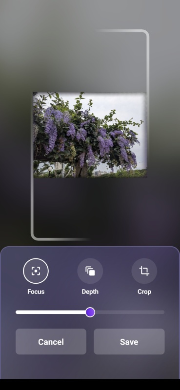 image host