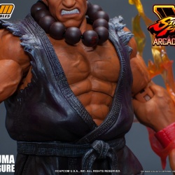 Street Fighter V 1/12ème (Storm Collectibles) - Page 3 Hq56u553_t