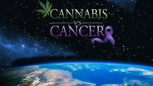 Cannabis vs Cancer 2020 1080p AMZN WEBRip DDP2 0 x264-NOGRP Cannabis vs Cancer 2020 1080p AMZN WEBRip DDP2 0 x264-NOGRP