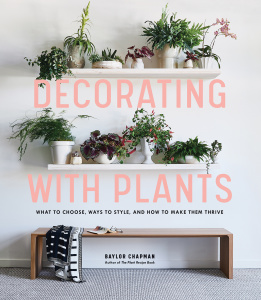 Decorating with Plants   What to Choose, Ways to Style, and How to Make Them Thrive