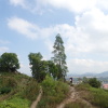 Hiking Tin Shui Wai 2023 July - 頁 2 IbrRXYOb_t