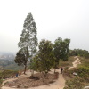 Tin Shui Wai Hiking 2023 - 頁 2 Tv0NW5Ek_t