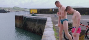 The Young Offenders 2016